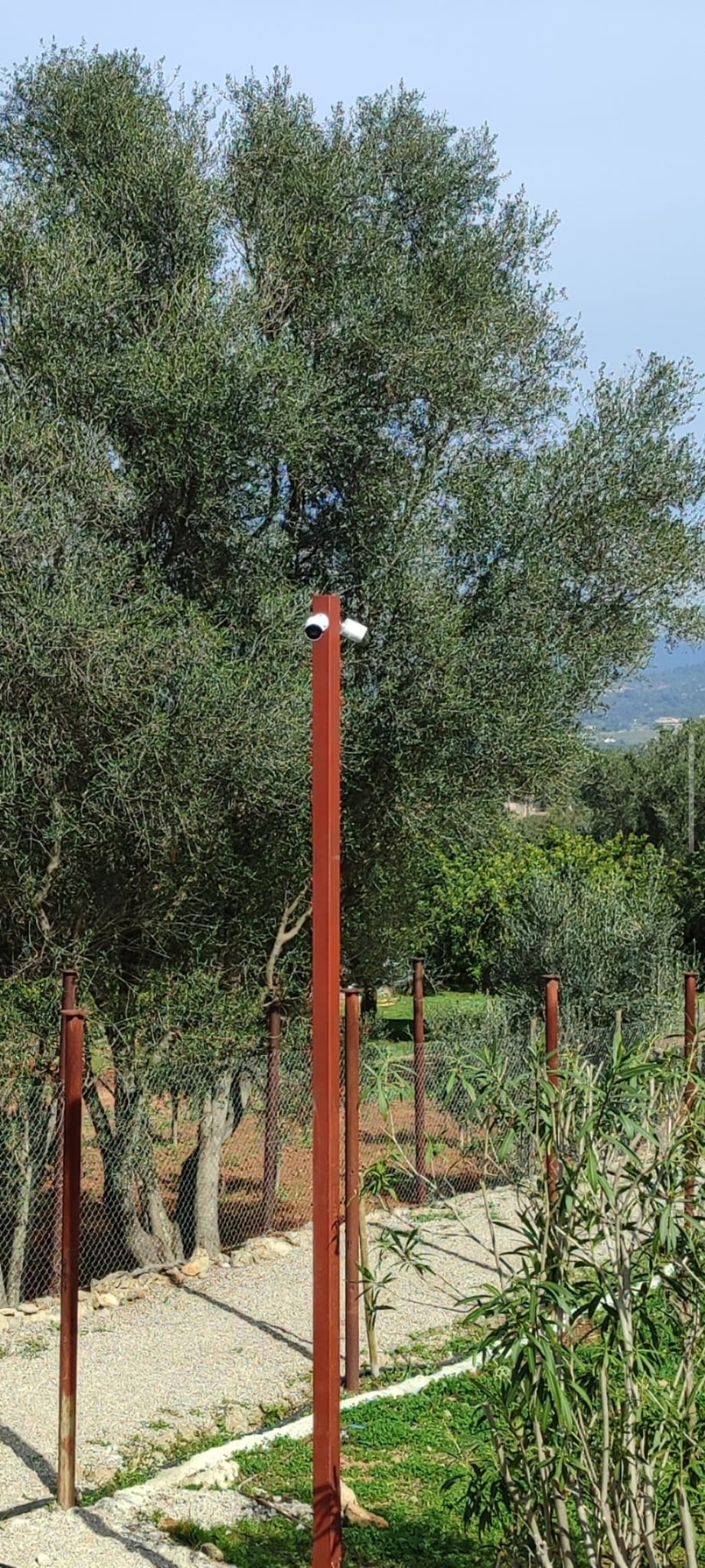 Cámaras instaladas en un poste junto al perímetro de una finca